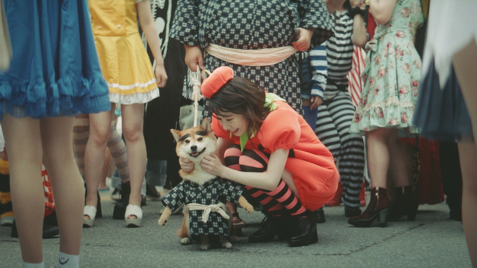 島崎遥香（提供写真）