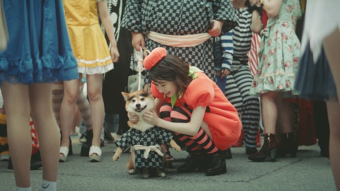 島崎遥香(提供写真)