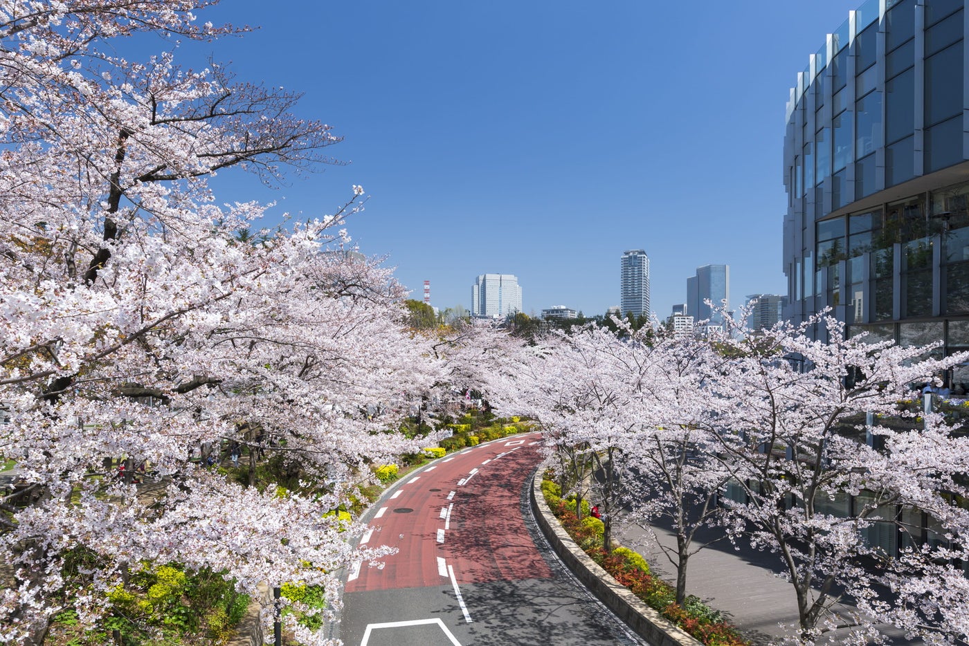MIDTOWN BLOSSOM 2026／提供画像