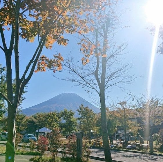 スタイルキャビンあさぎり／画像提供：エリアノ