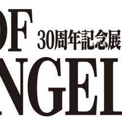 (C)カラー/Project Eva. (C)カラー/EVA製作委員会 (C)カラー