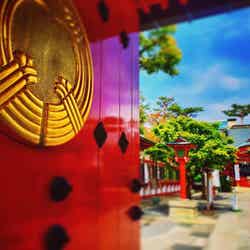 都心から電車でアクセスできる気軽さもうれしい(提供画像)