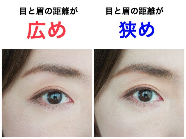 目と眉の距離　広め　狭め