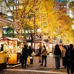 昨年開催時の様子/提供画像