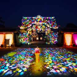 京都「NAKED FLOWERS 2022 秋」二条城が鳳凰&花のデジタルアートで彩られる