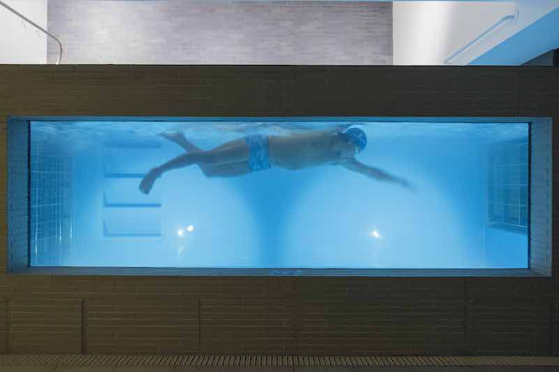 クロールの体の動きをチェック