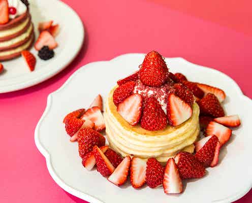 週末何する?次の休みに行くお出かけスポット11選vol.117