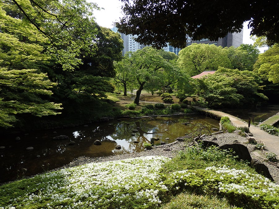 小石川後楽園