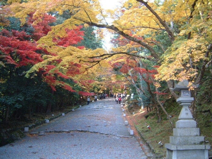 日吉大社の紅葉・黄葉（2006年11月24日撮影）