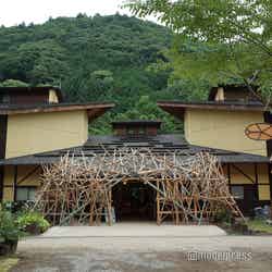 ミューの森(C)モデルプレス