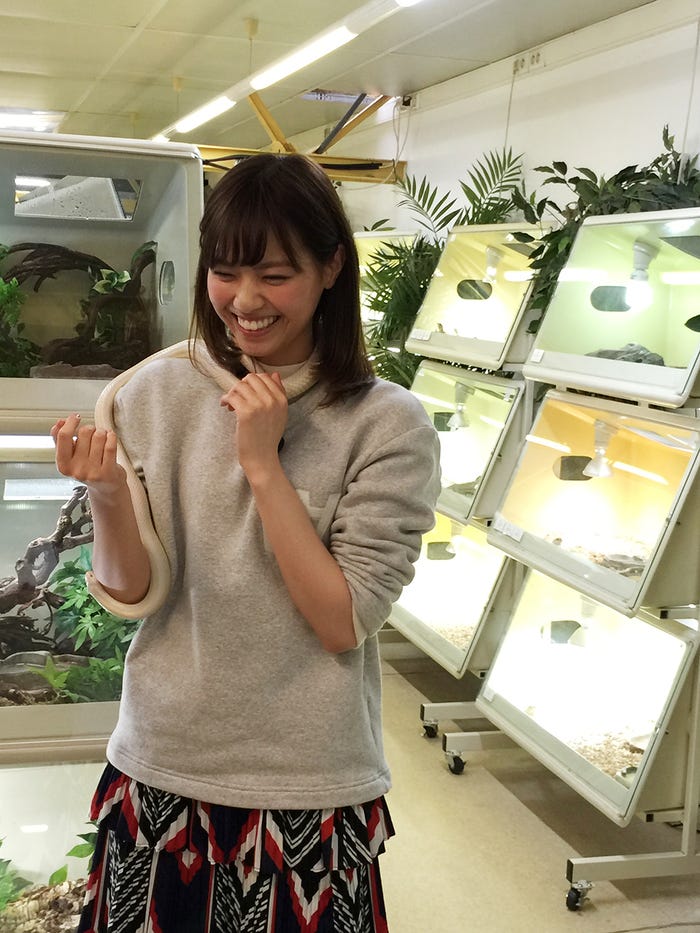 西野七瀬、パリ唯一の爬虫類ショップで満面の笑み/画像提供:所属事務所