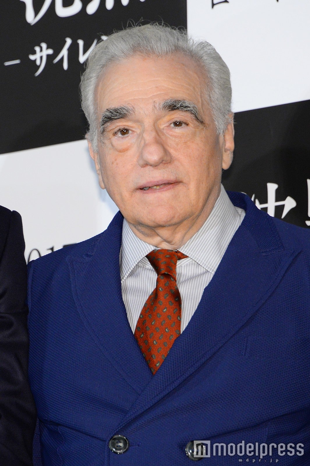 マーティン・スコセッシ監督 （C）モデルプレス
