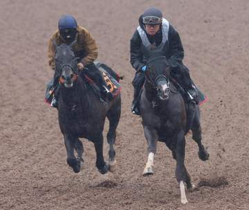 【皐月賞】グリーンエナジー＆フォルテアンジェロ 上原佑勢が上々併せ馬 ライヒスアドラーも手応え