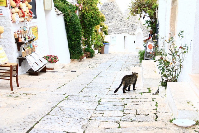 あなたも童話の世界へ♡／IMG_9954 by aderchen