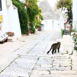 あなたも童話の世界へ♡/IMG_9954 by aderchen