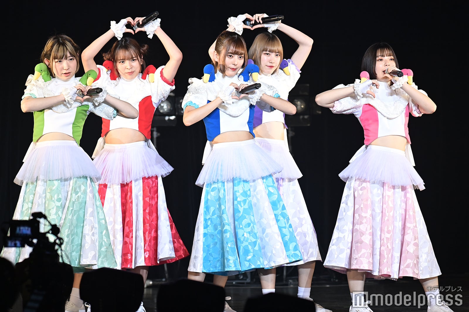 豆柴の大群（C）モデルプレス