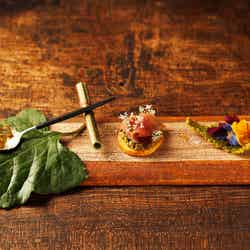 里山十帖 THE HOUSE/画像提供:自遊人