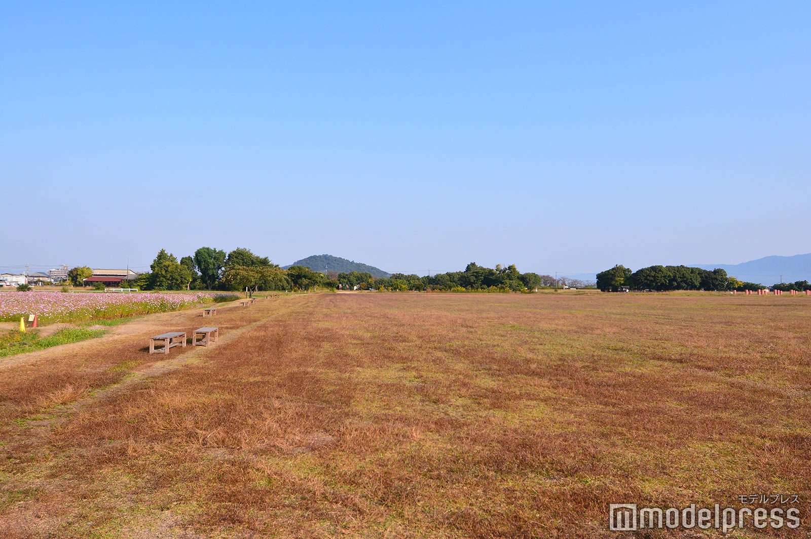 藤原宮跡（C）モデルプレス