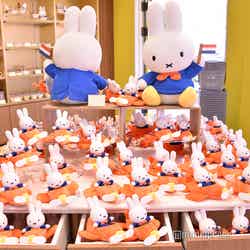 ミッフィー・ワンダースクエア(C)モデルプレス