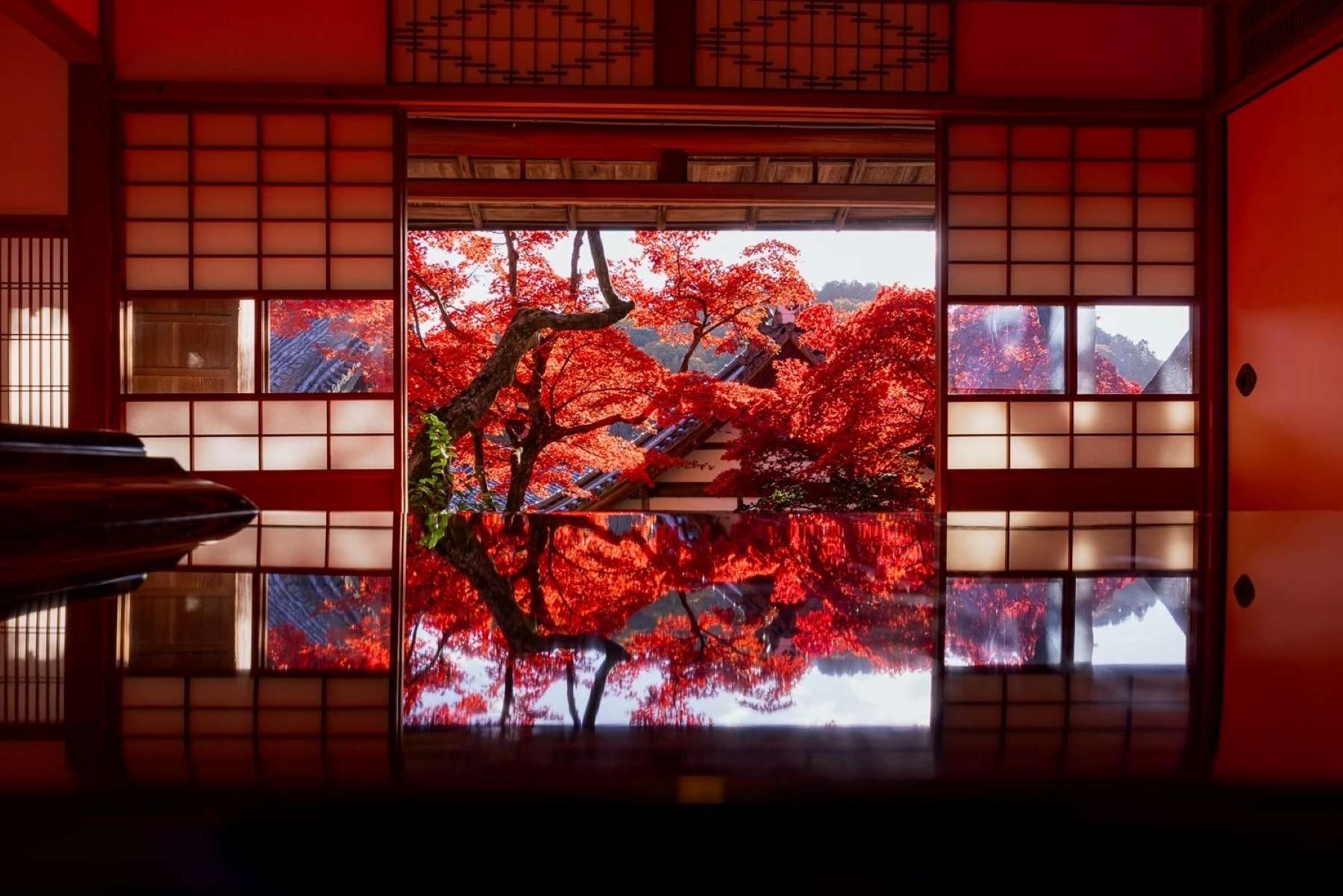 【京都】360度美景！花手水の古刹「もみじウイーク」ペット参拝や人気御朱印帳も 