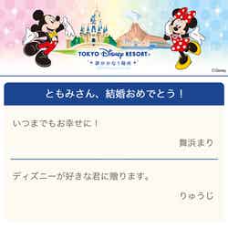 東京ディズニーリゾートレギュラーデザイン（C）Disney