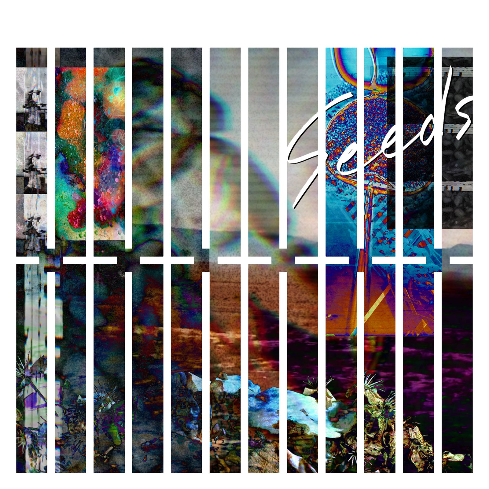 「Seeds」／【THE XXXXXX】（ザ・シックス）