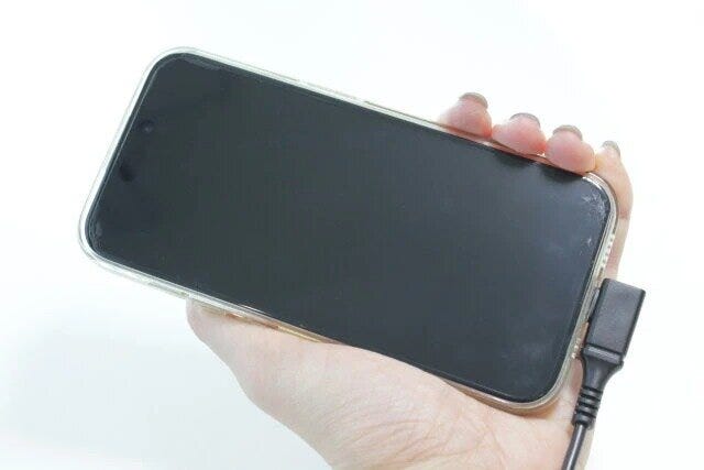 ダイソーの正解家電5選 ダイソー L字 Type-C