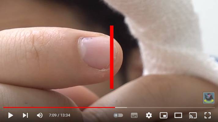 フィッシャーズのシルクロード 包丁で指先を切断 モデルプレス