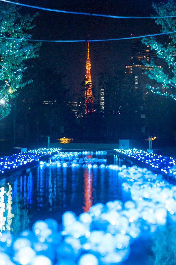 品川の街が青く煌めくイルミ 東京タワー 光の海のsns映えスポット出現 女子旅プレス
