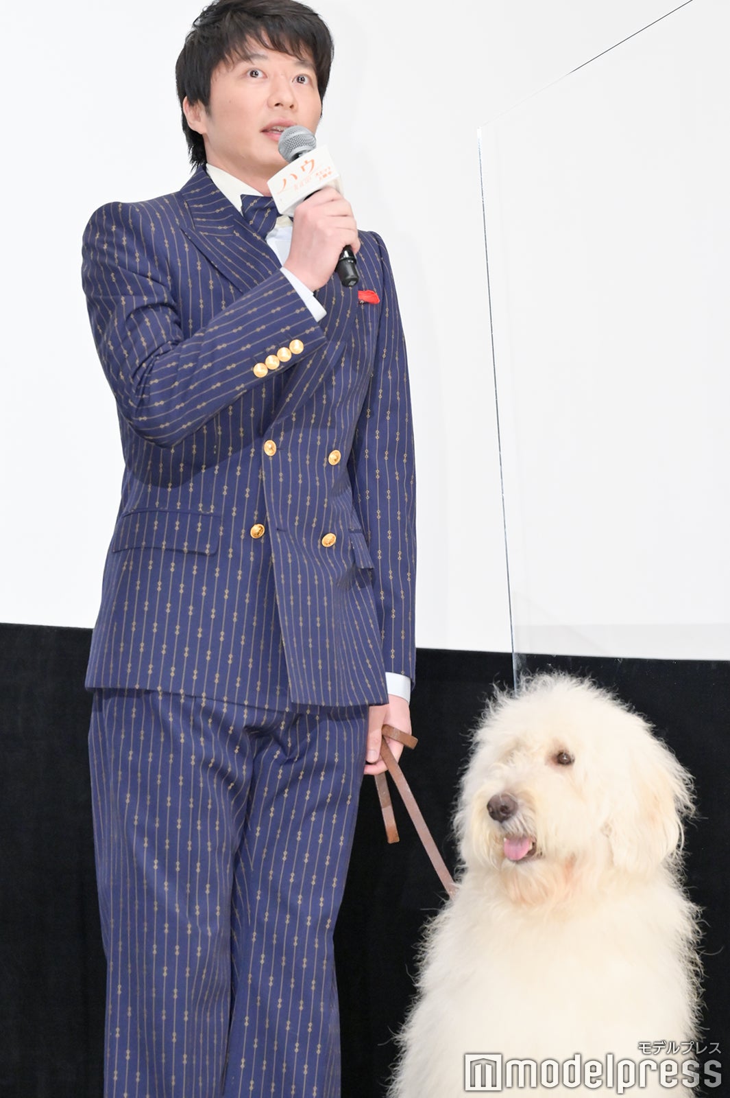 田中圭、ベック（C）モデルプレス