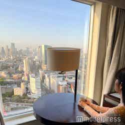 品川プリンスホテル(C)モデルプレス