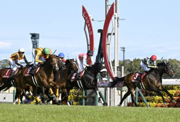 【金鯱賞】8番人気のシェイクユアハートが重賞2勝目