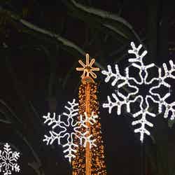 さっぽろホワイトイルミネーション/提供画像