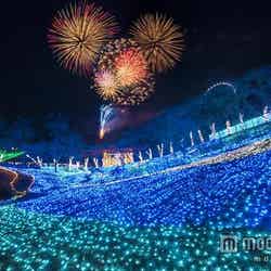 関東最大500万球イルミ「さがみ湖イルミリオン」でカウントダウンイベント開催【モデルプレス】