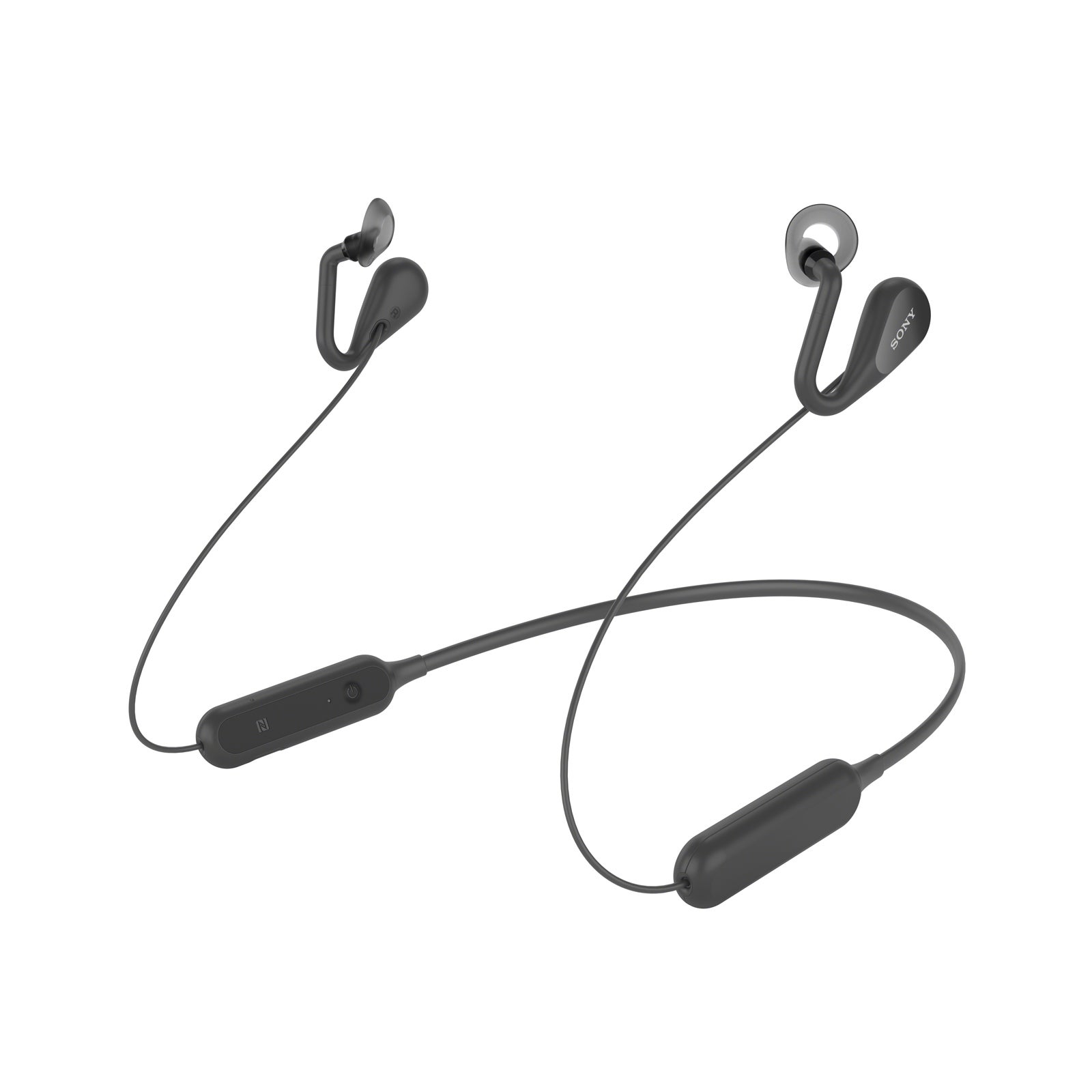 （B）ブラック（提供写真）