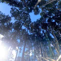 どうやって撮ってるの?スタッフさんしか知らない秘密のSNS映えフォトは是非トライしてみて (C)モデルプレス