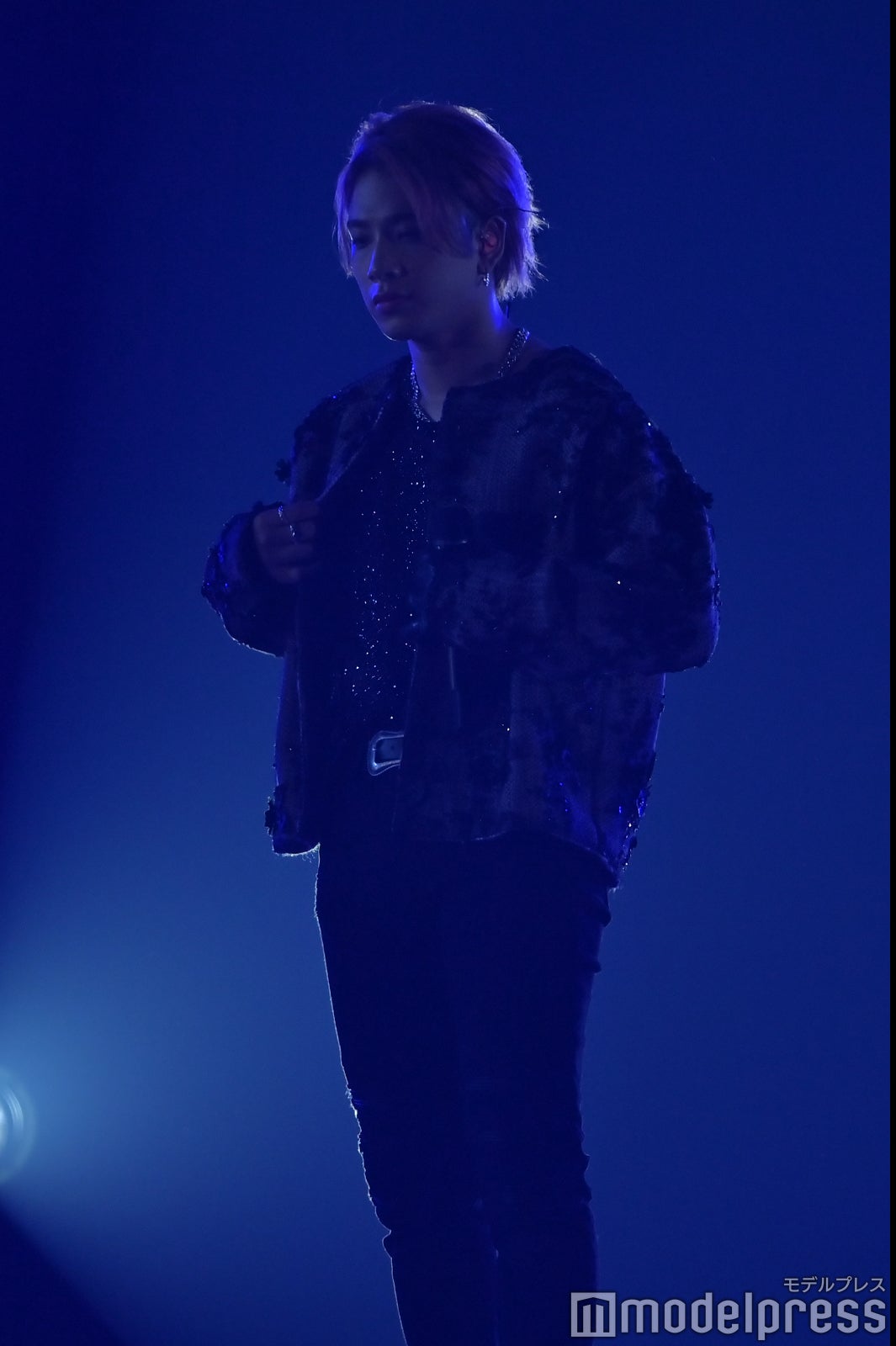 OWV（C）モデルプレス