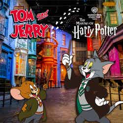 TOM AND JERRY and all related characters and elements (C) & TM Turner Entertainment Co.(s26) All characters and elements (C) & TM WBEI and its affiliates. (s26) All characters and elements (C)& TM Warner Bros. Entertainment Inc. WB SHIELD: (C) & TM WBEI. Publishing Rights (C) JKR.