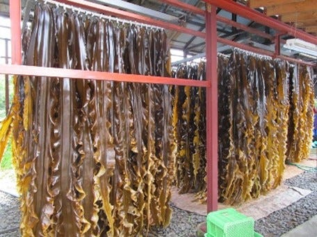 昆布だしを加えた(提供写真)