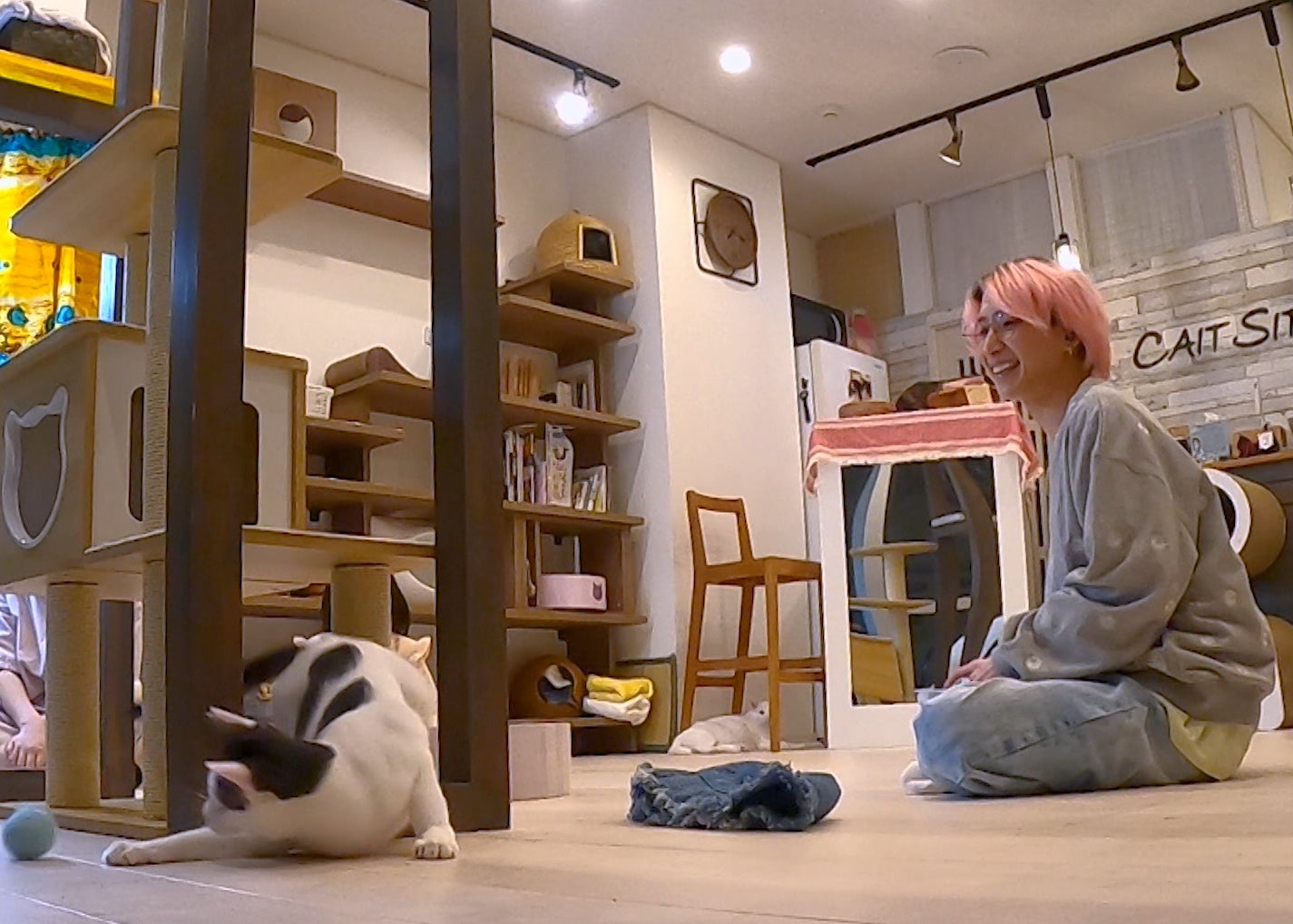 佐久間大介（C）TBS