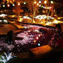 日本の文化や自然を楽しめる空間と映像のコラボレーション/画像提供:株式会社ネイキッド