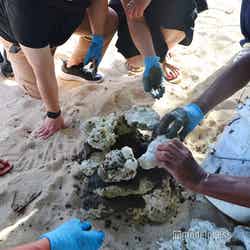 シャングリ・ラ・ヤヌザ・アイランド・フィジー(C)モデルプレス