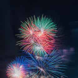 音楽とメッセージと共に味わう『泉州 光と音の夢花火』/画像提供:トライハードエンターテイメントジャパン