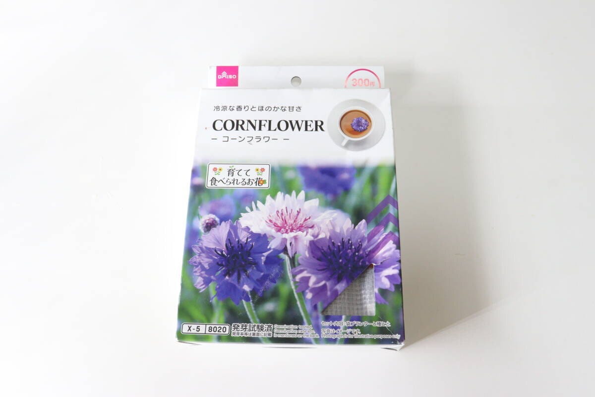 ダイソー　栽培セット