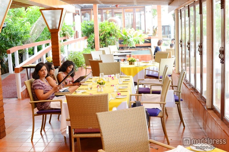 カラフルなインテリアにボタニカルな緑が映える