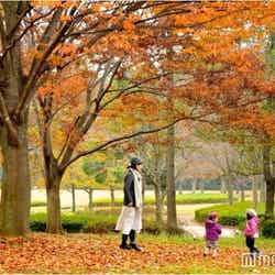 21世紀の森と広場/画像提供:松戸市役所