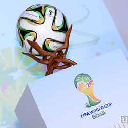 サッカーW杯ブラジル大会の決勝球