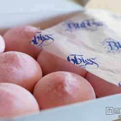 ロコに愛されて30年、ふっくら可愛い“モチアイス”