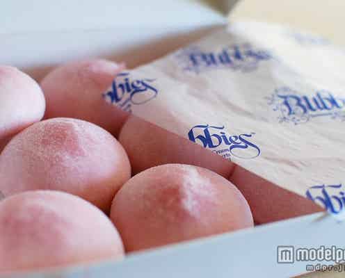 ロコに愛されて30年、ふっくら可愛い“モチアイス”