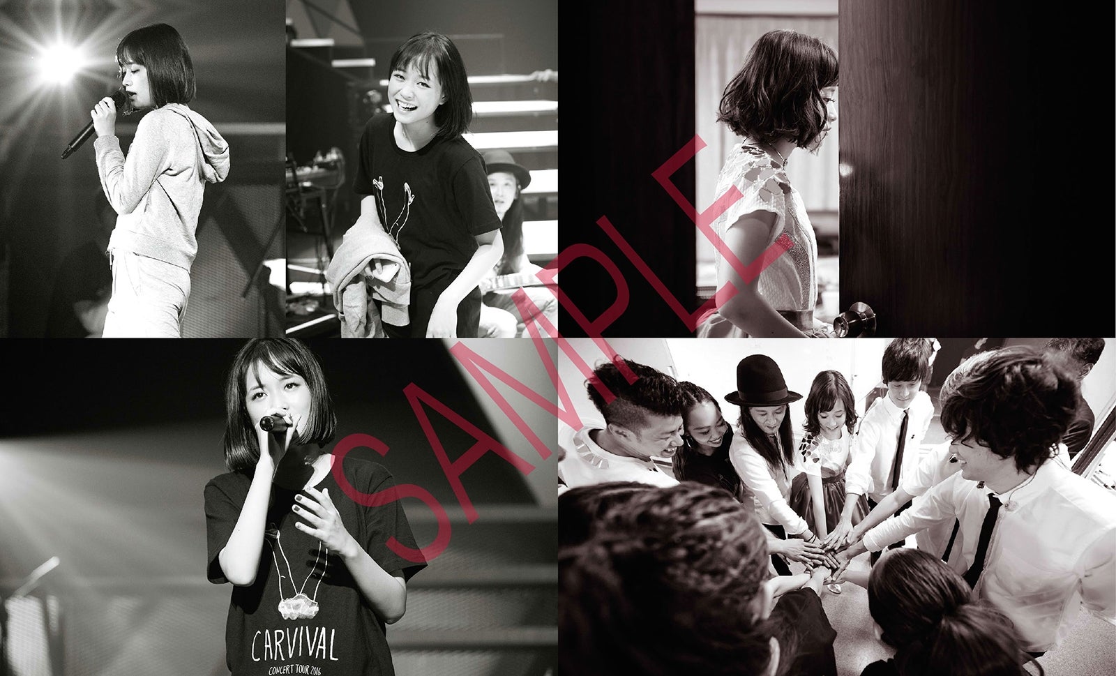 未公開ライブ写真と舞台裏の写真で構成されたフォトブック